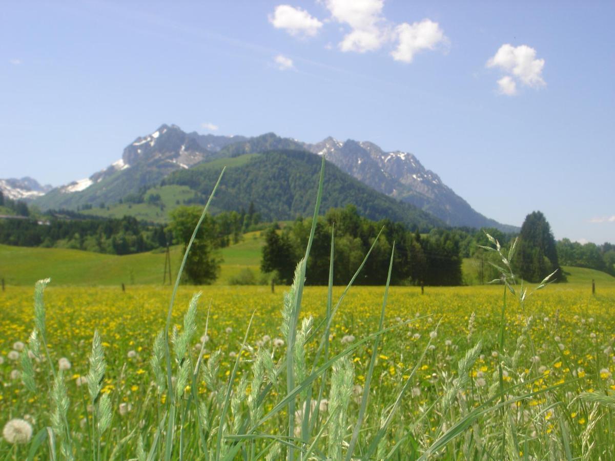 Bio-Bauernhof Bachangerhof Kössen Exteriör bild