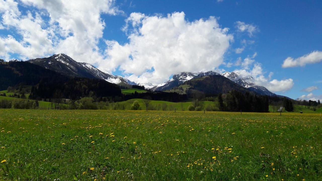Bio-Bauernhof Bachangerhof Kössen Exteriör bild