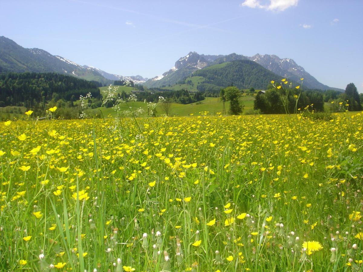 Bio-Bauernhof Bachangerhof Kössen Exteriör bild