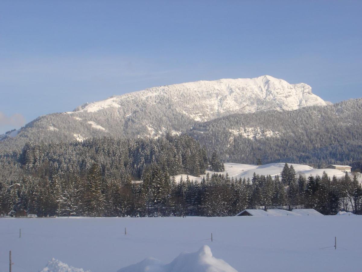 Bio-Bauernhof Bachangerhof Kössen Exteriör bild