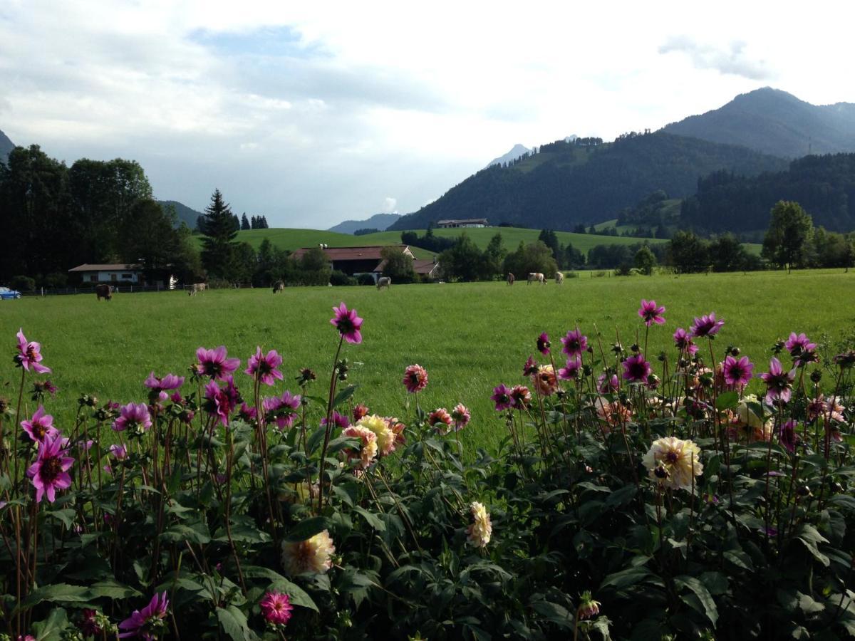 Bio-Bauernhof Bachangerhof Kössen Exteriör bild