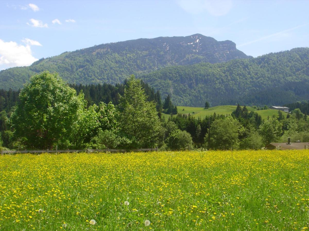 Bio-Bauernhof Bachangerhof Kössen Exteriör bild