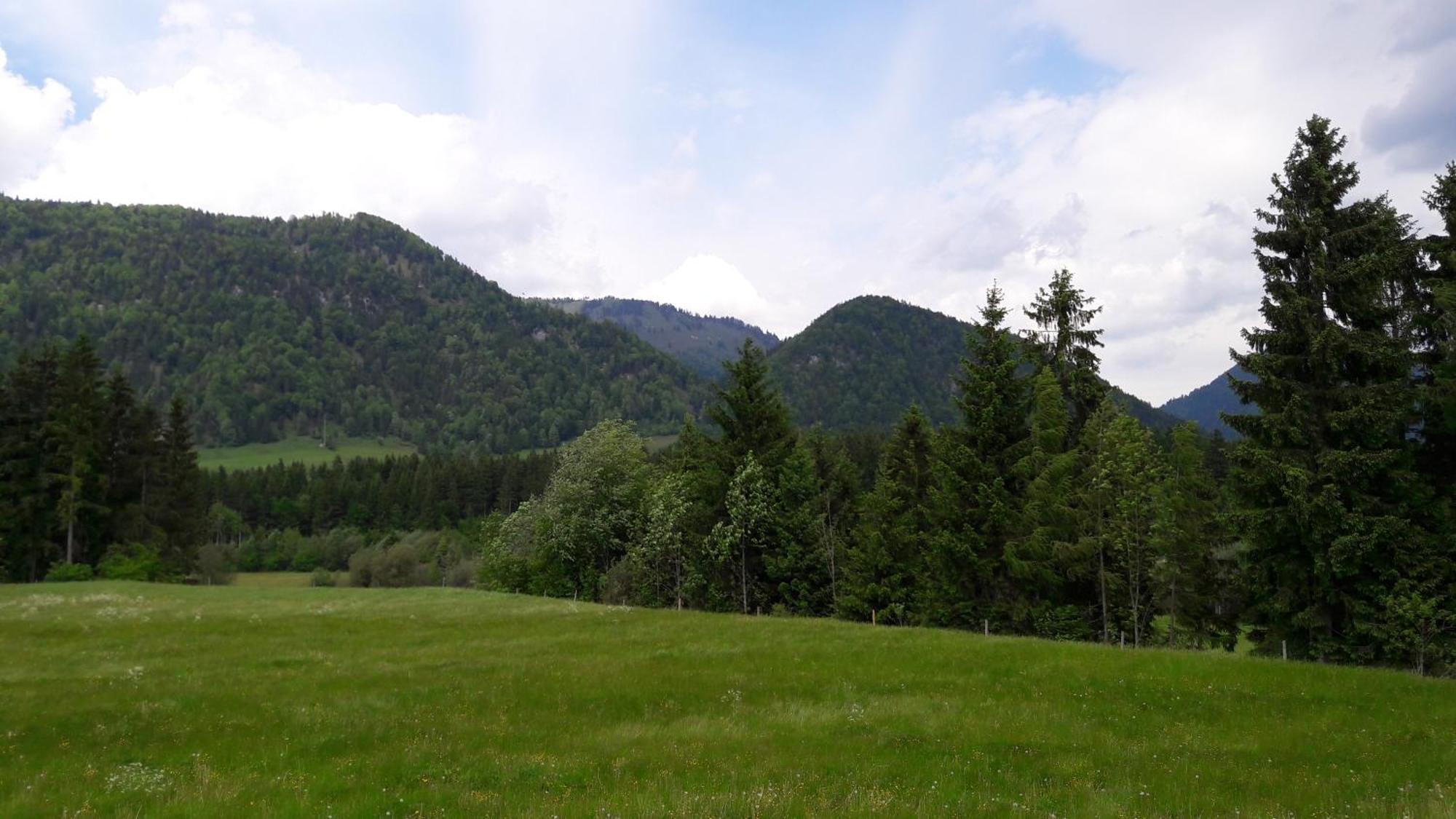 Bio-Bauernhof Bachangerhof Kössen Exteriör bild