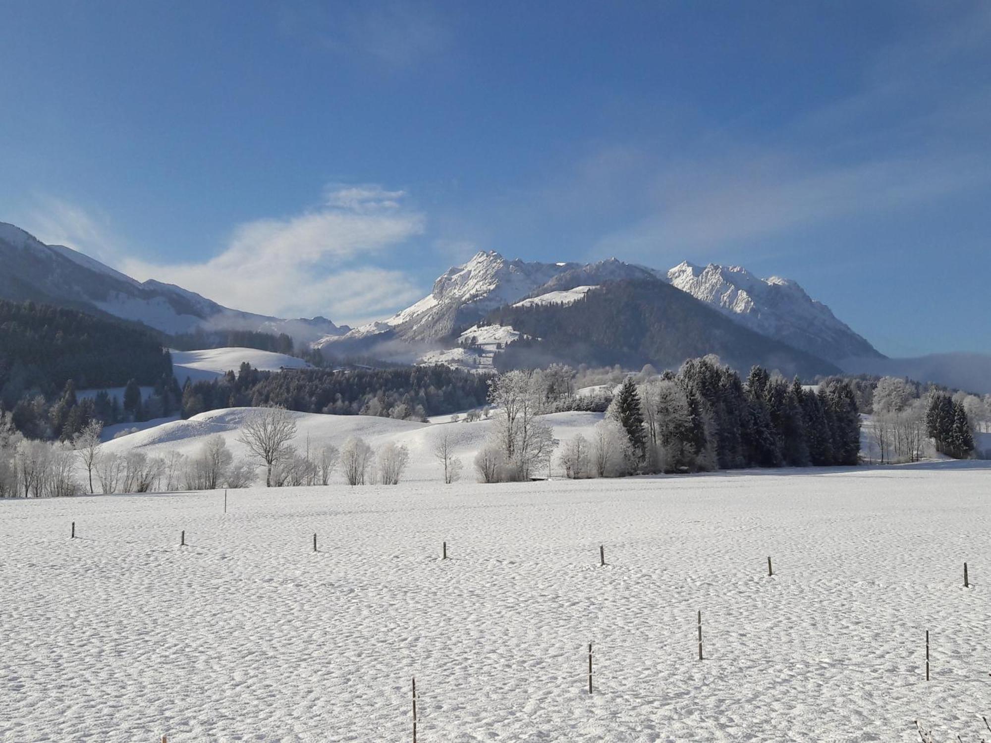 Bio-Bauernhof Bachangerhof Kössen Exteriör bild